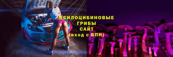 хмурый Алексеевка