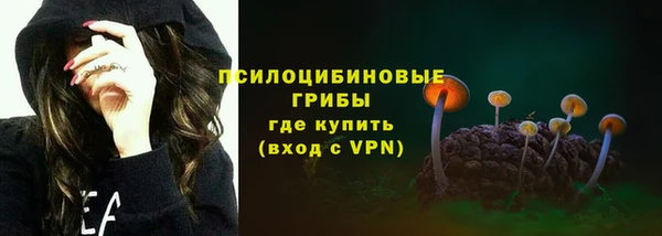 хмурый Алексеевка