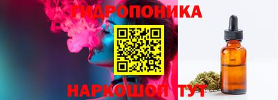 стаф Кунгур