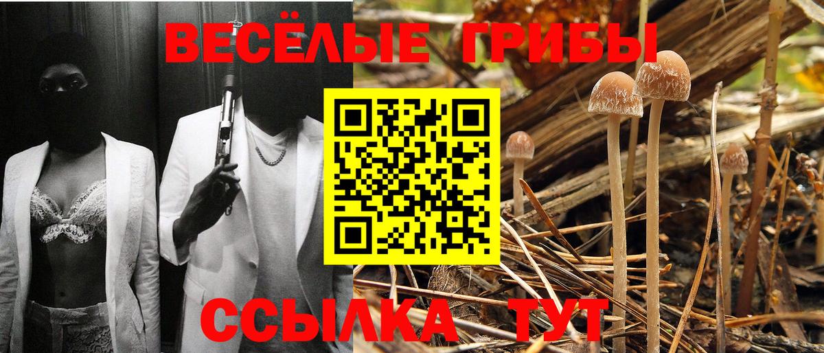 Дзержинский  Псилоцибиновые грибы мицелий  Вход с VPN 